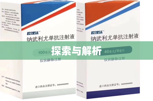 六安探索与解析
