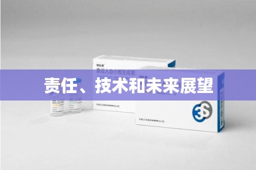 六安责任、技术和未来展望