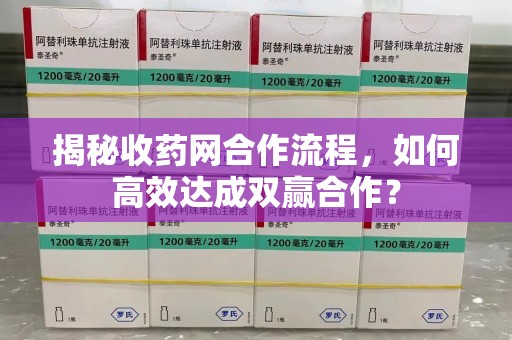 六安揭秘收药网合作流程，如何高效达成双赢合作？