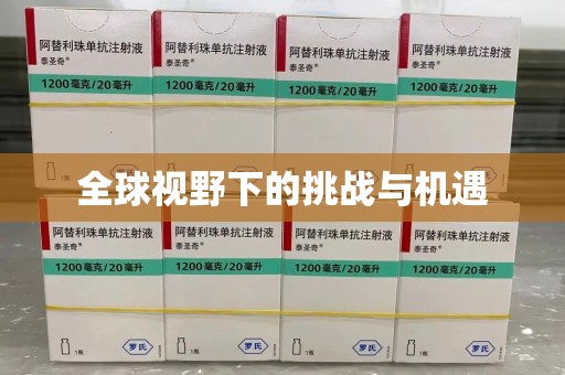 六安全球视野下的挑战与机遇