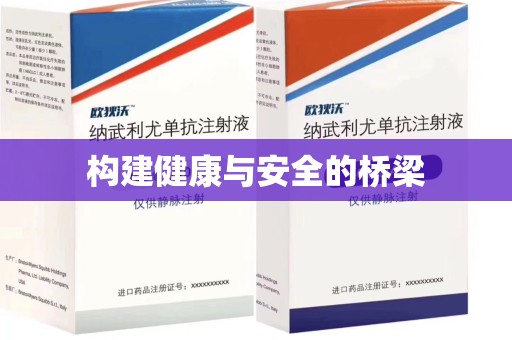 六安构建健康与安全的桥梁