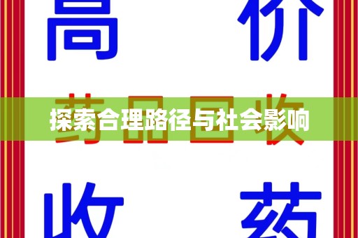 六安探索合理路径与社会影响