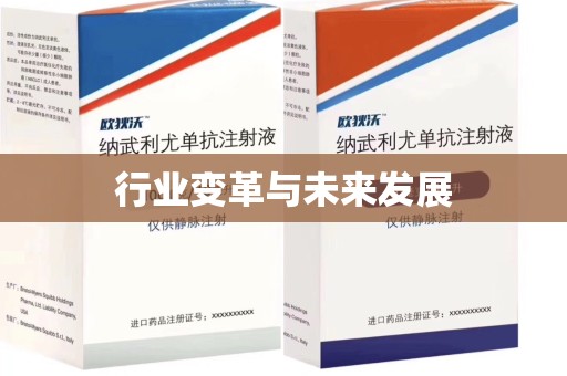 六安行业变革与未来发展