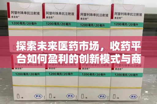 六安探索未来医药市场，收药平台如何盈利的创新模式与商业前景