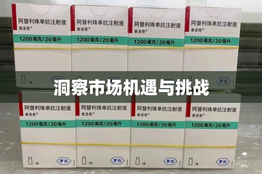 六安洞察市场机遇与挑战