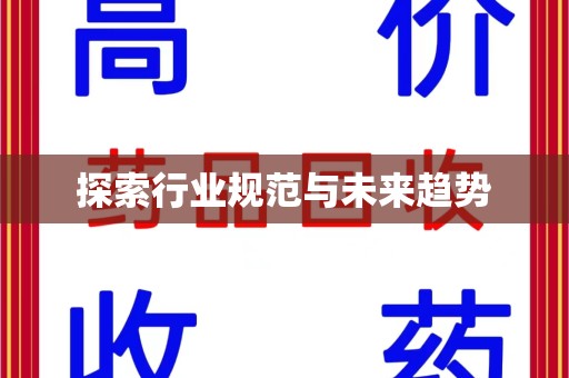 六安探索行业规范与未来趋势