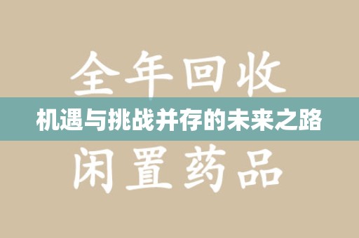 六安机遇与挑战并存的未来之路