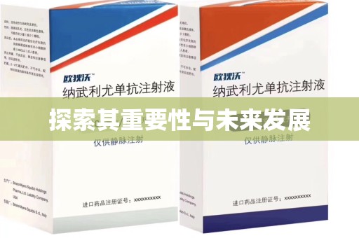 六安探索其重要性与未来发展