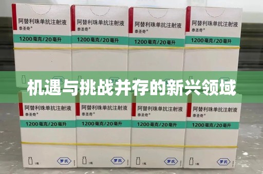 六安机遇与挑战并存的新兴领域