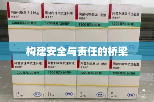 六安构建安全与责任的桥梁