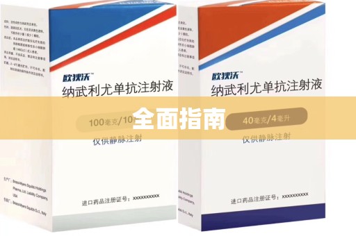 六安全面指南