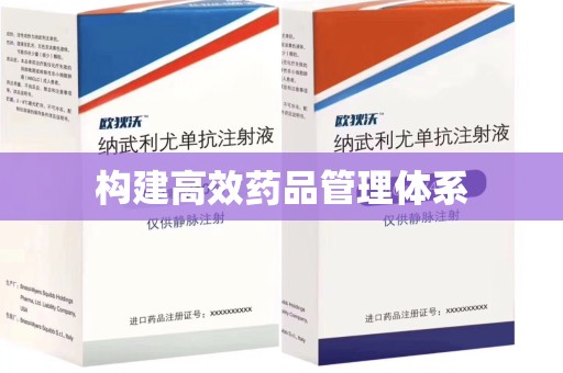 六安构建高效药品管理体系