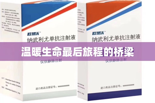 六安温暖生命最后旅程的桥梁