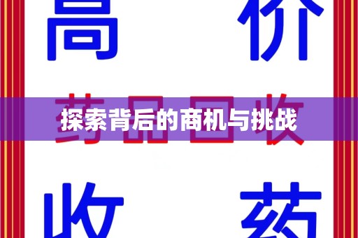 六安探索背后的商机与挑战