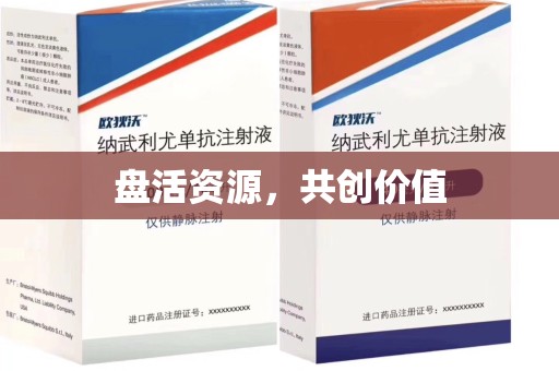 六安盘活资源，共创价值