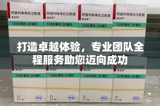 六安打造卓越体验，专业团队全程服务助您迈向成功